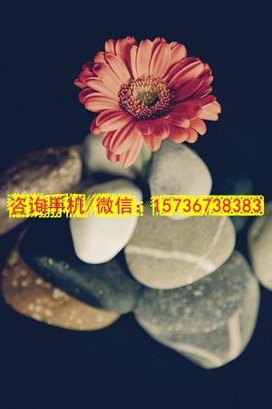 百色代妈不锈钢制品